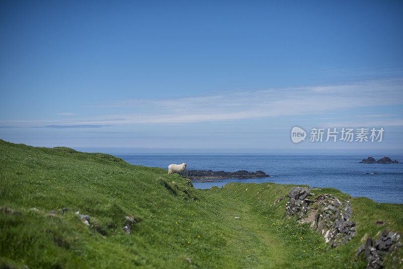 沿着狂野大西洋的方式，丁格尔半岛，布拉斯特群岛，Co. Kerry，爱尔兰。